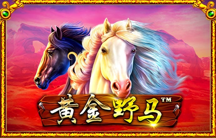 bob半岛·综合体育